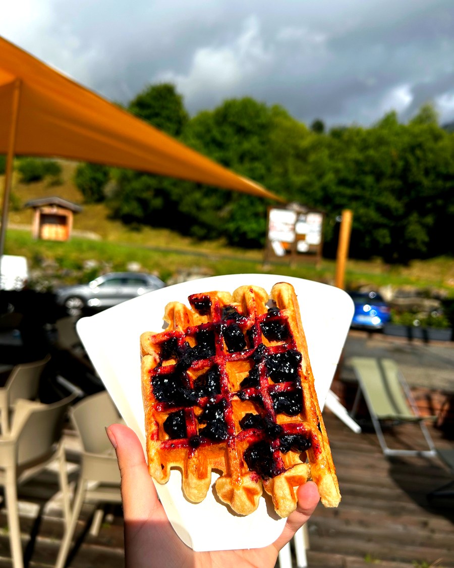 Gaufre sucrée myrtilles — 109gr.